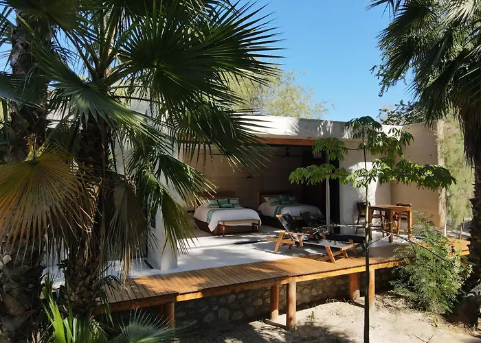 Nest Cabos