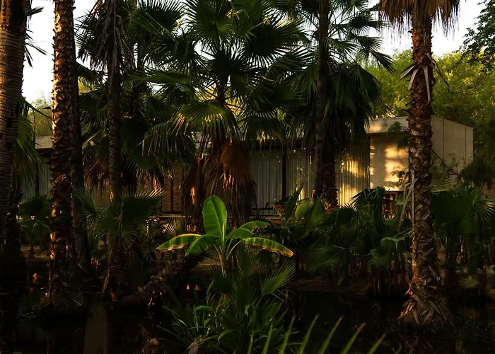 Nest Cabos Santiago (Baja California Sur)