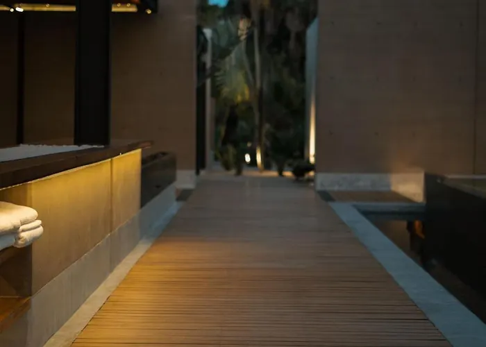 Nest Cabos