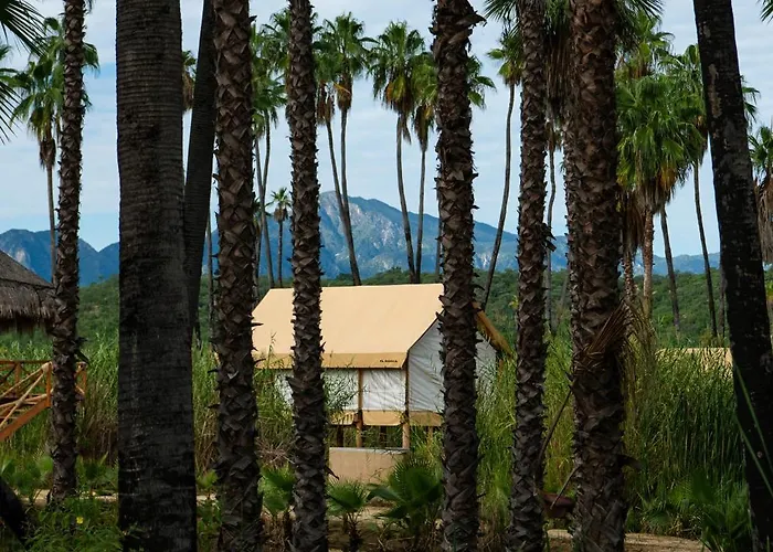Hotel Nest Cabos