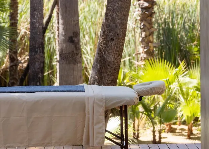 Nest Cabos Hotel *