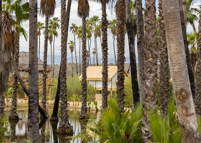 Nest Cabos Hotel Santiago (Baja California Sur)
