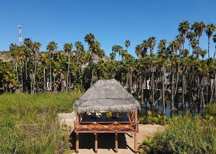 Nest Cabos