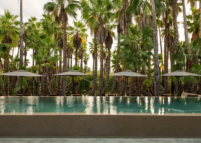 Nest Cabos Hotel Santiago (Baja California Sur)