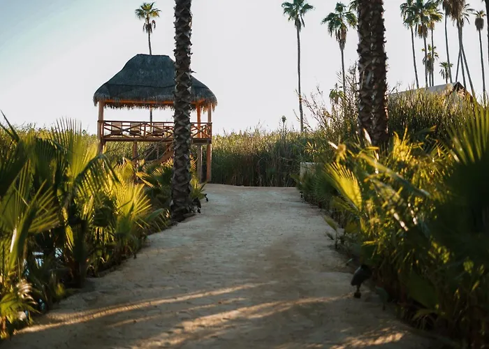 Hotel Nest Cabos Santiago (Baja California Sur)