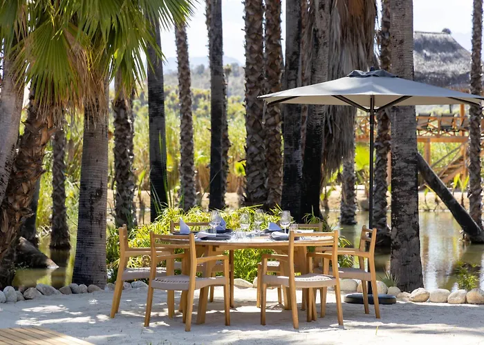 Nest Cabos